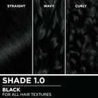Garnier Hair Color Olia Ammonia-Free Brilliant Color Oil-Rich Permanent Hair Dye, 1.0 Black, 2 Count (Packaging May Vary)
