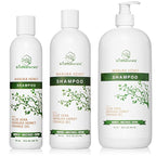 Wild Naturals Manuka Honey Shampoo for Eczema & Psoriasis – Hydrating Sulfate-Free with Aloe Vera & Coconut Oil – Moisturizing Shampoo for Dry, Itchy Scalp
