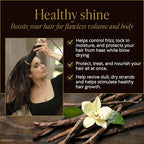 WEN 613 by Chaz Dean Ultra Nourishing Styling Cream - Hair Straightener Cream for Frizzy Hair, Anti Frizz Hair Product for Styling Wavy, Curly & Straight Hair, for Men & Women - 5 Fl Oz (Pack of 1)