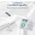 Premium Silk Pillowcase 100% Organic Mulberry Silk, 22 Momme, Grade 6A - Oeko-Tex Certified in Germany - Luxury for Hair & Skin, 1 Piece (Queen Size 20x30 Inches, Natural Silk Off-White)