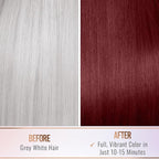 Herbishh Argan Hair Mask Shampoo - Natural Hair Dye for Gray Hair - Long-Lasting Color in Minutes - Travel Size - Ammonia-Free - 10+1 Pack (Grape Red)