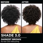 Garnier Hair Color Olia Ammonia-Free Brilliant Color Oil-Rich Permanent Hair Dye, 3.0 Darkest Brown, 2 Count (Packaging May Vary)