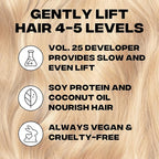 Good Dye Young Hair Lightener Kit (Streaks and Strands) with Dust Free Powder Lightener & 25 Volume Developer - Moisturizing Bleaching Kit - Vegan Hair Bleach (2 oz.)