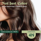 Herbatint Permanent Hair Dye For Women - 4N Chestnut - For Up To 100% Gray Coverage of Resistant Gray Hair - Ammonia-Free, Alcohol-Free & Vegan - Salon Influenced Hair color 5.75 fl oz