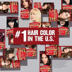 Revlon ColorSilk with Bond Repair Complex, Auburn Permanent Hair Color, 100% Gray Coverage, Ammonia Free Hair Dye, Vegan Keratin, 42 Medium Auburn (Pack of 3)