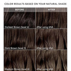 Madison Reed Radiant Hair Color Kit - 6NA Medium Ash Brown with Cool Smoky Undertones (Monza Brown), Dimensional Gray Hair Blending Permanent Hair Dye, PPD-Free & Ammonia-Free, 1 Pack
