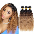 Ombre Curly Bundles Human Hair Honey Blonde Bundle Niegmeag Virgin Soft and Silky Remy Hair 3 Bundles 12 14 16 Inch 4/27 Kinky Curly Bundle Hair Weave