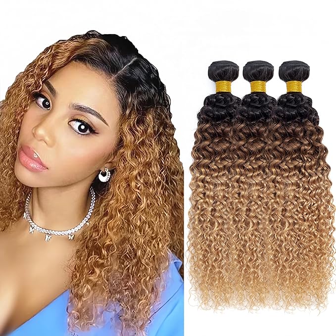 Ombre Curly Bundles Human Hair Honey Blonde Bundle Niegmeag Virgin Soft and Silky Remy Hair 3 Bundles 12 14 16 Inch 4/27 Kinky Curly Bundle Hair Weave