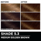 Garnier Hair Color Olia Ammonia-Free Brilliant Color Oil-Rich Permanent Hair Dye, 5.3 Medium Golden Brown, 2 Count (Packaging May Vary)