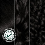 Garnier Hair Color Nutrisse Nourishing Creme, 10 Black (Licorice) Permanent Hair Dye, 1 Count (Packaging May Vary)