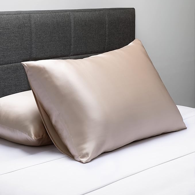 Fishers Finery 19mm 100% Pure Mulberry Silk Pillowcase, Quality Tested (Taupe, Q)