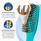 Giorgio GION2B Neon Blue 6.25 inch Gentle Touch Detangler Hair Brush for Men Women and Kids. Soft Bristles for Sensitive Scalp. Wet & Dry for all Hair Types. Scalp Massager Brush Stimulate Hair Growth