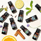 Cliganic Organic Eucalyptus Essential Oil - 100% Pure Natural for Aromatherapy Diffuser | Non-GMO Verified (Packaging May Vary)