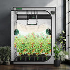 VIVOSUN G558 60"x60"x80" Grow Tent, 5x5 Plant Greenhouse Tent 2000D Mylar Hydroponic Tent with 22mm Thickened Poles, Observation Window and Floor Tray for Plants for VSF6450