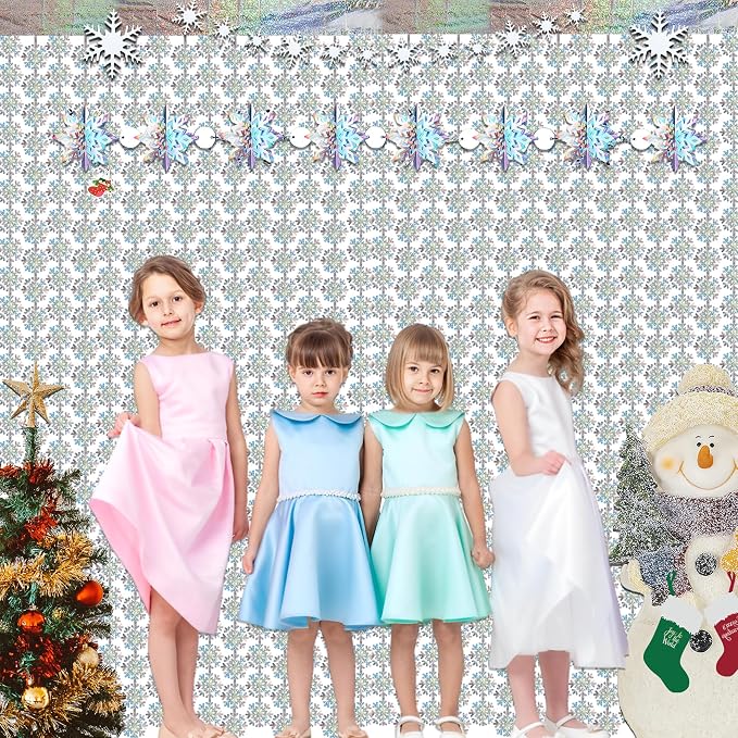 Silver Snowflake Fringe Curtain - Image 2