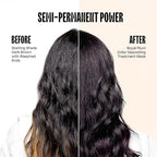 Overtone Semi Permanent Hair Color Conditioner, Royal Plum, 8 oz, Nourishing, Damage-Free, Color Depositing Mask for All Hair Types with Shea Butter & Coconut Oil, Vegan & Cruelty-Free