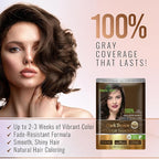 Herbishh Natural Hair Color Shampoo for Gray Hair - Argan Hair Mask, Travel Size, Long-Lasting Color, Ammonia-Free, 10 Pack + 1 Pack (Dark Brown)