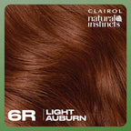 Clairol Natural Instincts Demi-Permanent Hair Dye, 6R Light Auburn Hair Color, Pack of 1