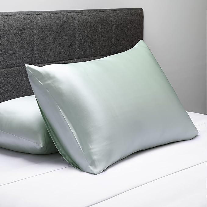 Fishers Finery 25mm 100% Pure Mulberry Silk Pillowcase (Light Green Standard)