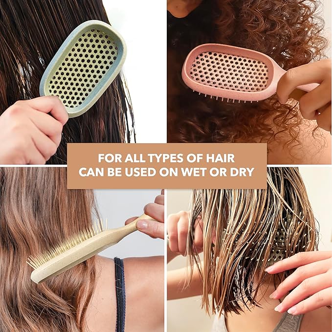 TADA Natural Beauty Hair Brush Detangler for Curly, Thick, Wavy, and Thin Hair - Ventilation Holes for Quick Drying and Styling, Detangler Brush for Women, Men, Kids (4 Colors) (4PK)