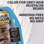 Edbe Hair Color Easy Comb Jet Black (2 Pack) – Grey Hair, Mustache, and Beard Coloring for Men with One Application Kit