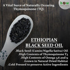 Black Seed Oil 8 oz - Cold Pressed Ethiopian Black Cumin Nigella Sativa, 3X Thymoquinone, 100% Pure Liquid in Glass Bottle - Supports Immune, Hair, and Skin Health