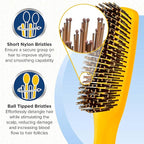 Giorgio GION1O Neon Orange 7.75 inch Gentle Touch Detangler Hair Brush for Men and Women. Soft Bristles for Sensitive Scalp. Wet and Dry for all Hair Types. Scalp Massager Brush Stimulate Hair Growth